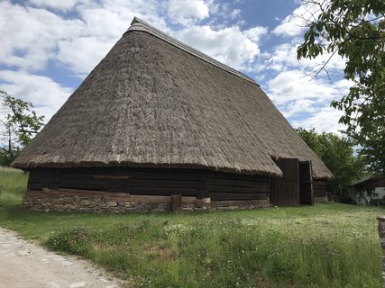 FOTKA - Kouim  vlet zptky v ase