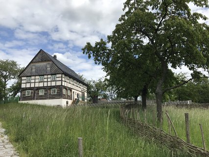 FOTKA - Kouim  vlet zptky v ase