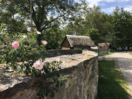FOTKA - Kouim  vlet zptky v ase