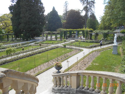 FOTKA - Prochzka po kvtinovm ostrov Mainau