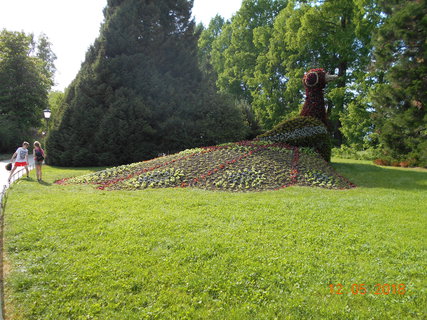 FOTKA - Prochzka po kvtinovm ostrov Mainau