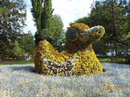 FOTKA - Prochzka po kvtinovm ostrov Mainau