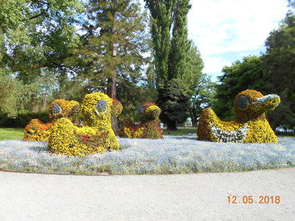 FOTKA - Prochzka po kvtinovm ostrov Mainau