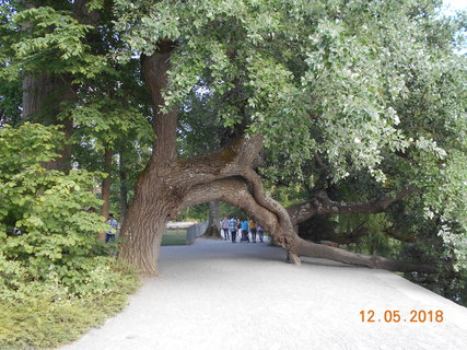 FOTKA - Prochzka po kvtinovm ostrov Mainau