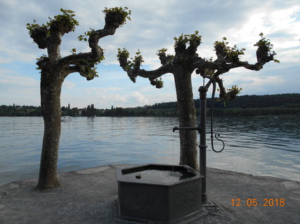 FOTKA - Prochzka po kvtinovm ostrov Mainau