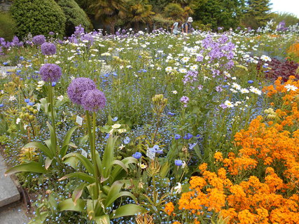 FOTKA - Prochzka po kvtinovm ostrov Mainau