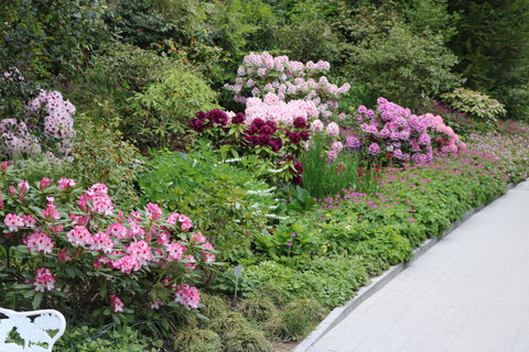 FOTKA - Prochzka po kvtinovm ostrov Mainau