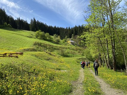 FOTKA - Na Valasku se otevr Stezka porte Maliny