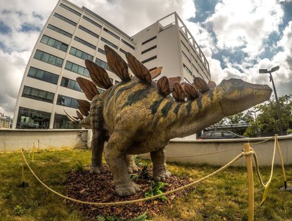 FOTKA - Dinosaui na stee Obchodnho domu ve Zln, vstava se otvr