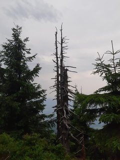 FOTKA - Smrk, druh nejvy hora Moravskoslezskch Beskyd