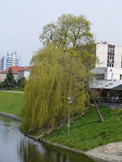 FOTKA - Nae putovn na krlovsk hrad Zvkov