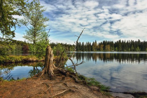 FOTKA - Marinsk Lzn  perla zpadnch ech