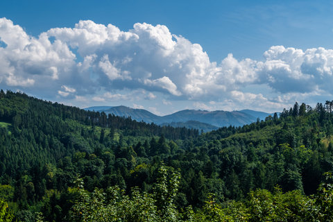 FOTKA - M oblben prochzka na rozhlednu Panorama v Palkovickch hrkch