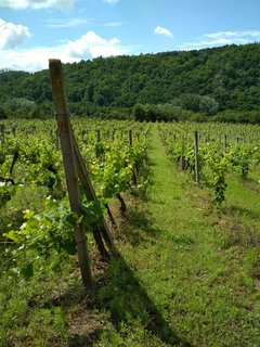 FOTKA - Spojen slunce, vna a termlnch koupel, to je Bad Waltersdorf