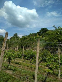 FOTKA - Spojen slunce, vna a termlnch koupel, to je Bad Waltersdorf