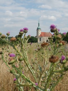FOTKA - Pesunut kostel Nanebevzet Panny Marie v Most