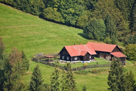 FOTKA - Cestou necestou po Starch Hamrech