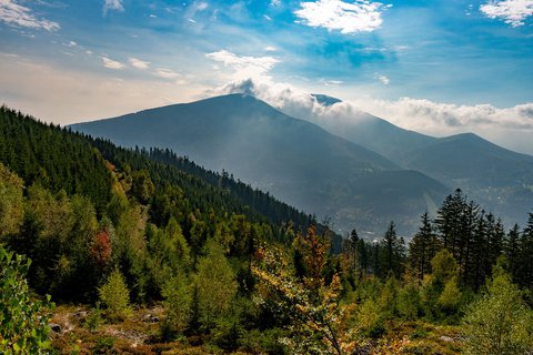 FOTKA - Li dry v Beskydech