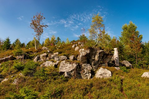 FOTKA - Li dry v Beskydech