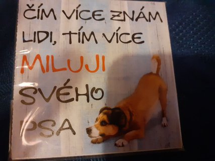 FOTKA - Ps lska, a opt a znova