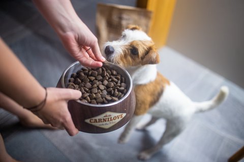 FOTKA - Kvalitn krmivo, kter skvle chutn? Granule z erstvho masa