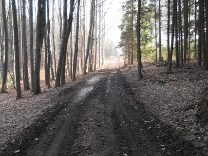 FOTKA - Vlet na Sedlansko