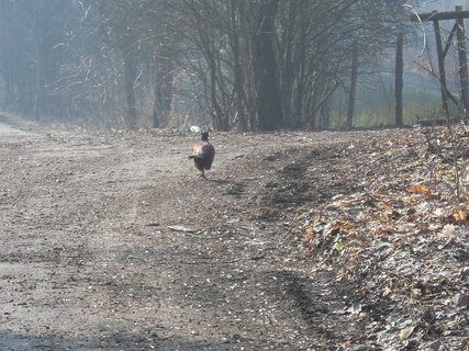 FOTKA - Vlet na Sedlansko