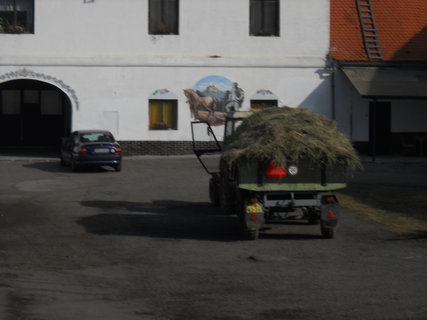 FOTKA - Vlet na Sedlansko