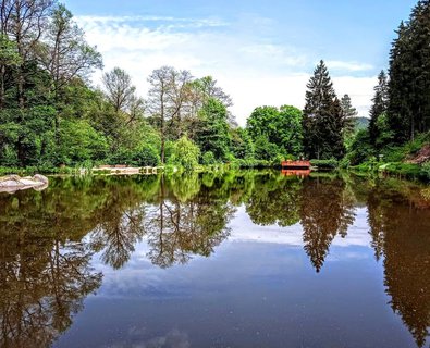 FOTKA - Beovsk botanick zahrada