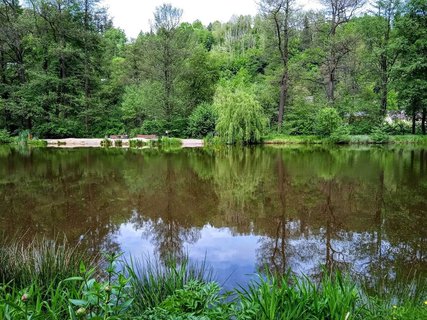 FOTKA - Beovsk botanick zahrada