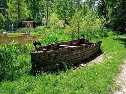 FOTKA - Beovsk botanick zahrada