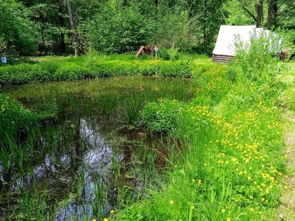 FOTKA - Beovsk botanick zahrada