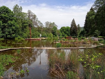 FOTKA - Beovsk botanick zahrada