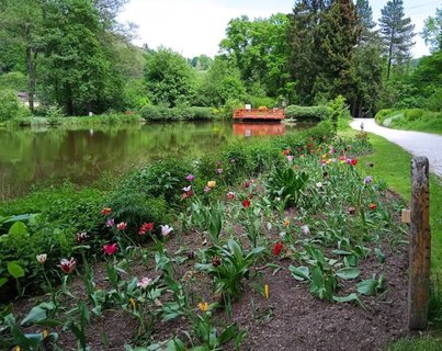 FOTKA - Beovsk botanick zahrada