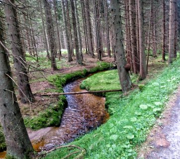 FOTKA - N cyklovlet po jinch echch