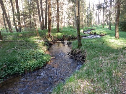 FOTKA - Naun stezka Stebnick potok (Karlovarsk kraj)