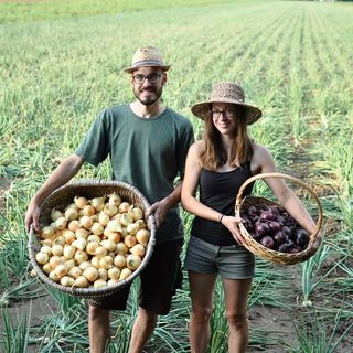 FOTKA - Tradin Cibulov slavnosti se vrac do lzeskho msteka Laa an der Thaya