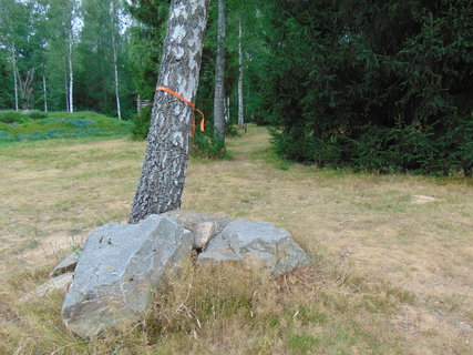 FOTKA - Lesn arel Hjemstv