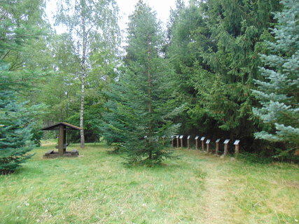 FOTKA - Lesn arel Hjemstv