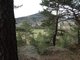 Vzhru na Dut kmen