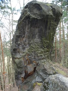 FOTKA - Vzhru na Dut kmen