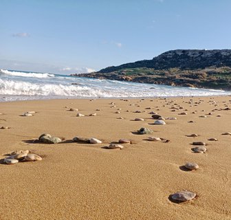 FOTKA - Malta, prozkoumn ostrova Gozo