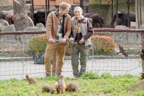 FOTKA - Tom Klus zaal fotit v ZOO