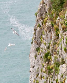 FOTKA - Vnon cesta na Gibraltar