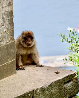 FOTKA - Vnon cesta na Gibraltar