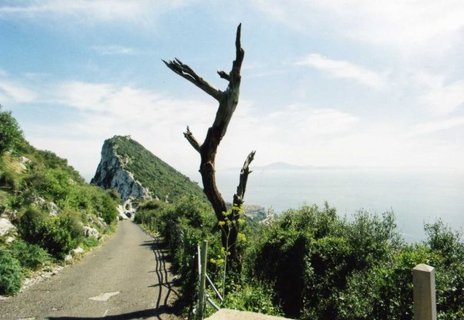 FOTKA - Vnon cesta na Gibraltar