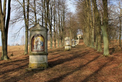 FOTKA - Prochzka na Kov vrch