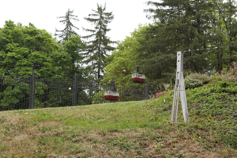 FOTKA - Park Boheminium - vlet pro mal i velk