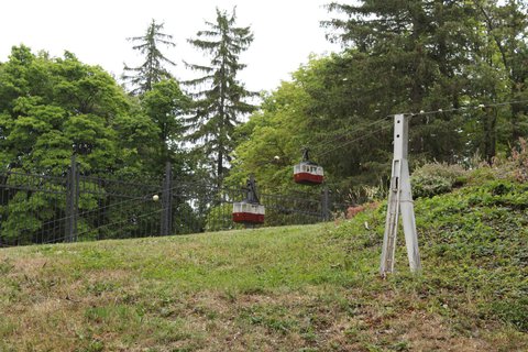 FOTKA - Park Boheminium - vlet pro mal i velk