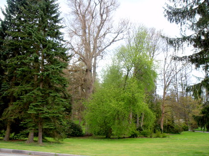 FOTKA - Guttejn